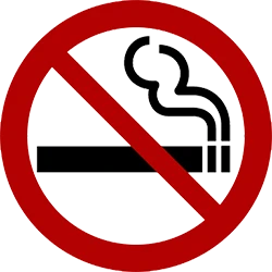 Smoke Free Icon