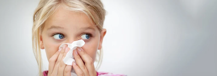 Chiropractic Ottawa ON Allergies and Sinuses