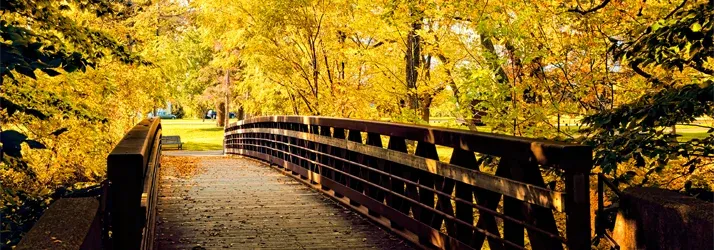Advanced Wellness Centre in Centretown ON Advanced Wellness Centre in Centretown ON